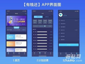 有錢還軟件開發 網絡技術服務的新篇章