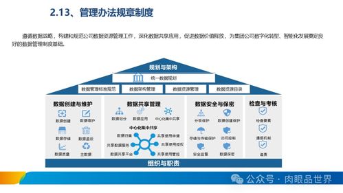 XX集團數據治理體系建設方案 數據處理服務的戰略實施路徑